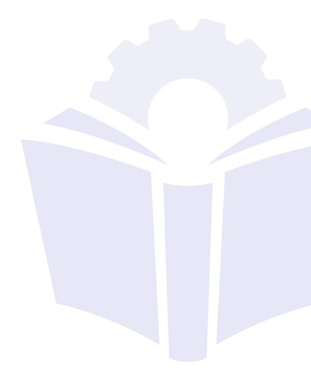 Hellgraue Bildmarke von FCT.swiss als Wasserzeichen am rechten Seitenrand
